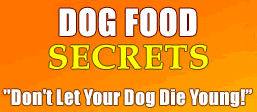 dog food secrets